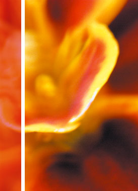 Kann ich meinem Energieseher vertrauen?