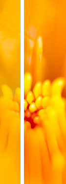 Energiecoach Peter L&ouml;ffler