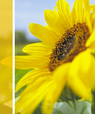 Energiecoach Peter L&ouml;ffler